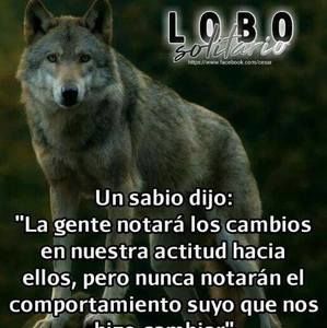 Meet your Posher, Raul